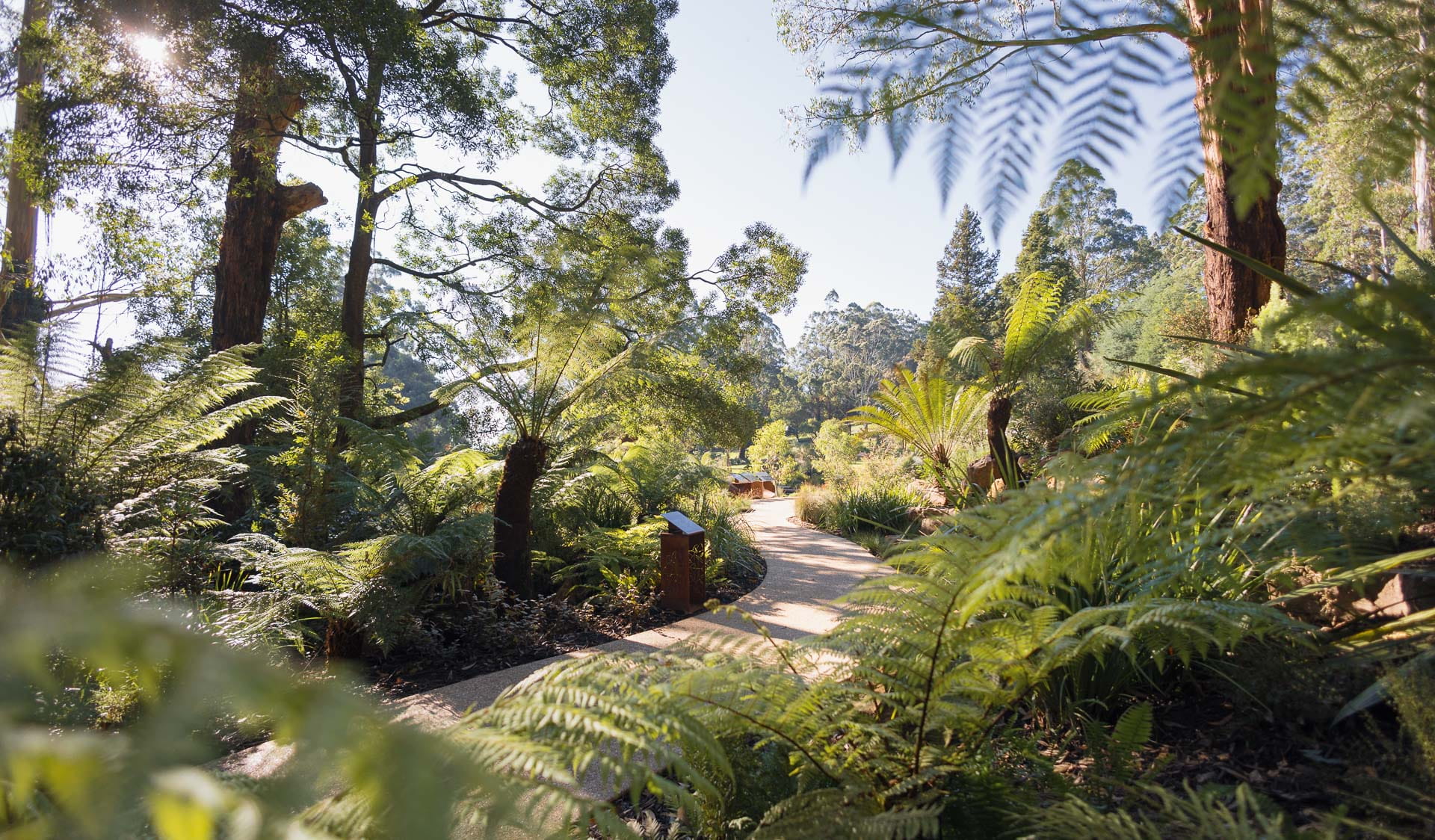 A landscaped garden with winding paths, a large pond and filled with mature native Australian plants. 