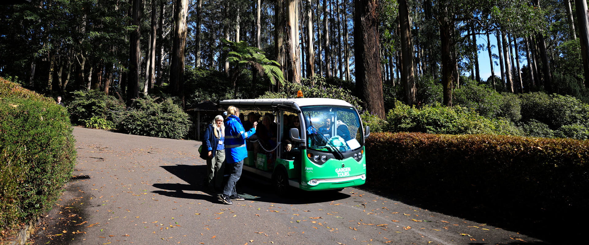 Visitors getting on bus tour at Dandenong Ranges Botanic Garden.