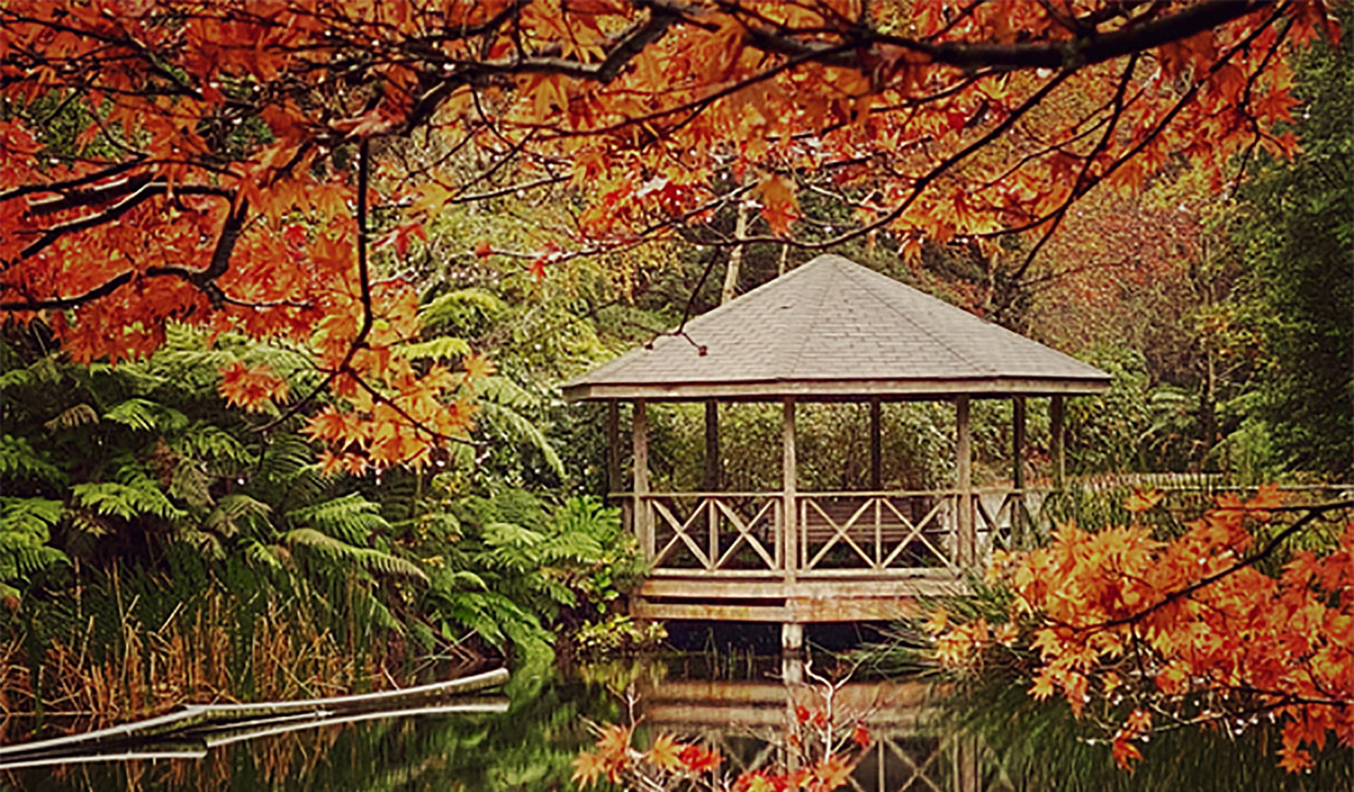 The rotunda on the lake at Dandenong Ranges Botanic Garden.