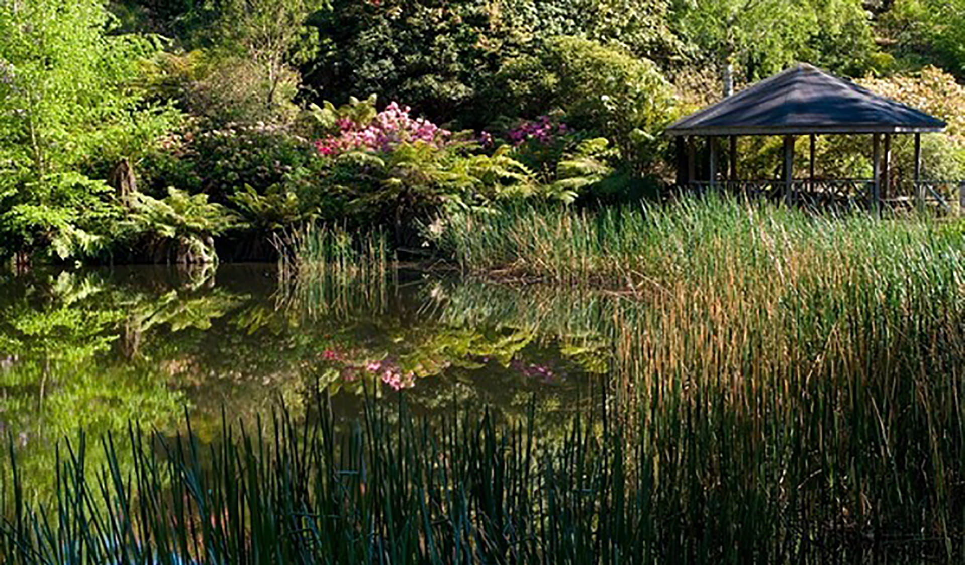 Rotunda on the lake at Dandenong Ranges Botanic Garden.