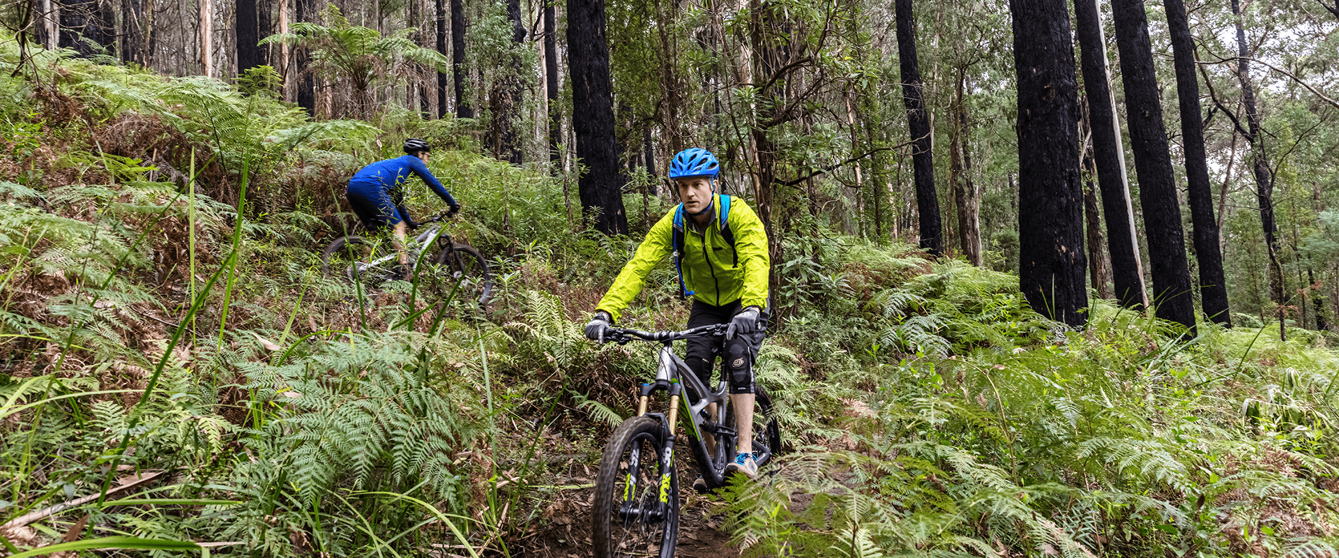 Two mountain bike riders making their way down a steep bike path surrounded by lush ferns.