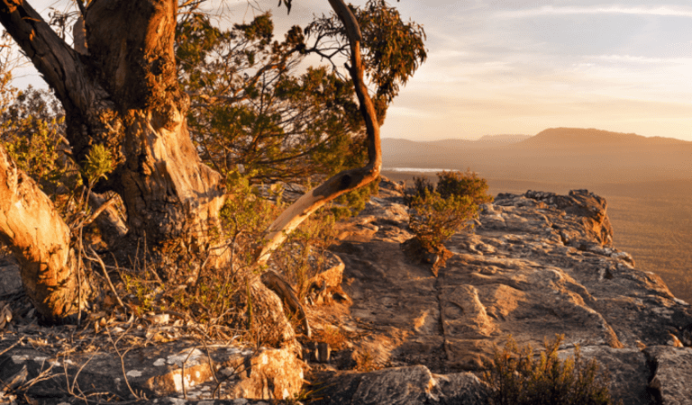 Grampians Peaks Trail Licensed Tour Operator Auswalk Walking Holidays