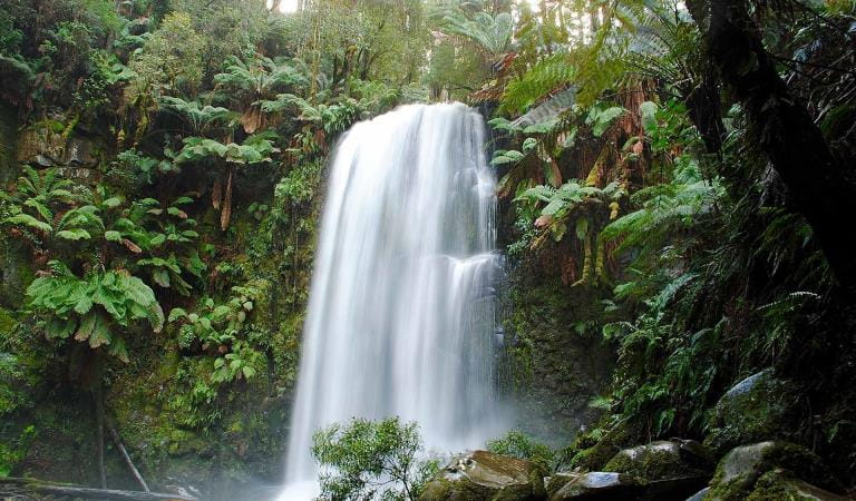 Beauchamp Falls, Great Otway National Park.