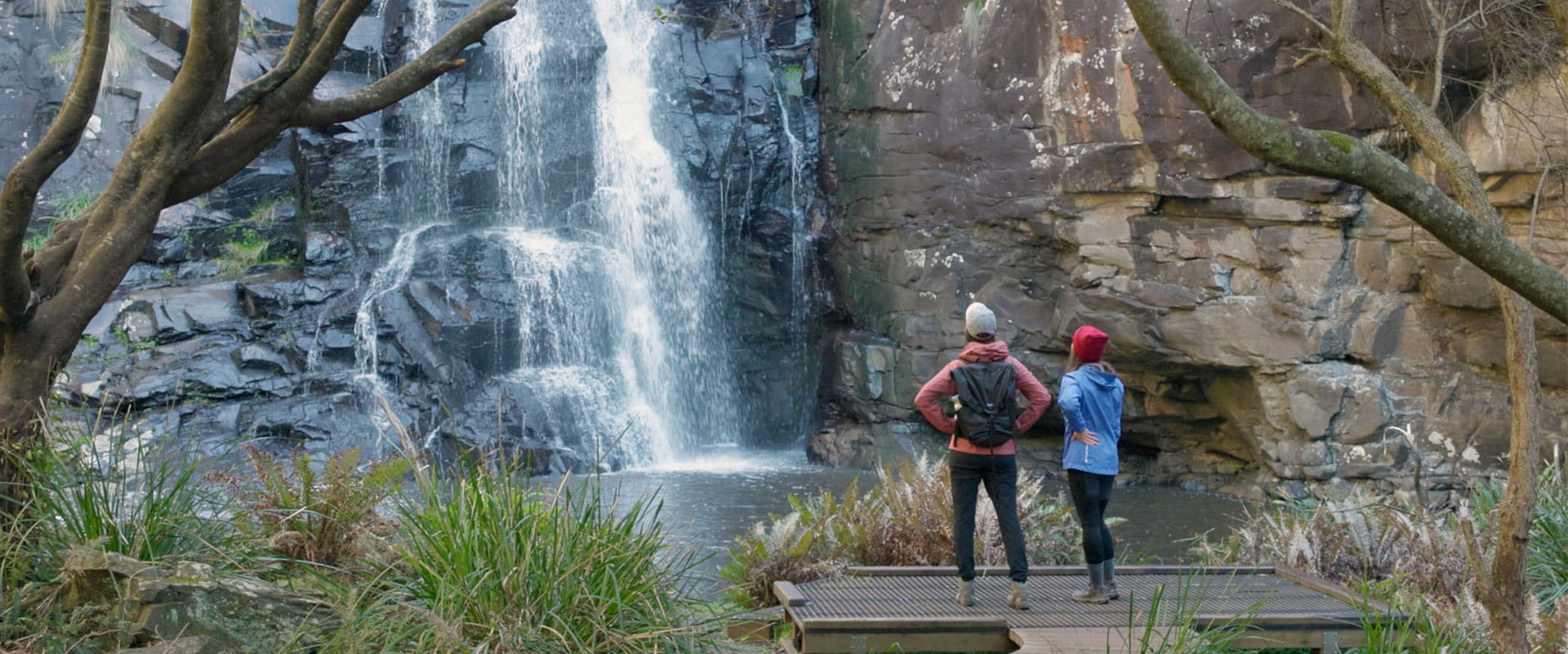 Waterfall flows into a mountain creek behind a walking visitor platform surrounded by lush tree ferns. 