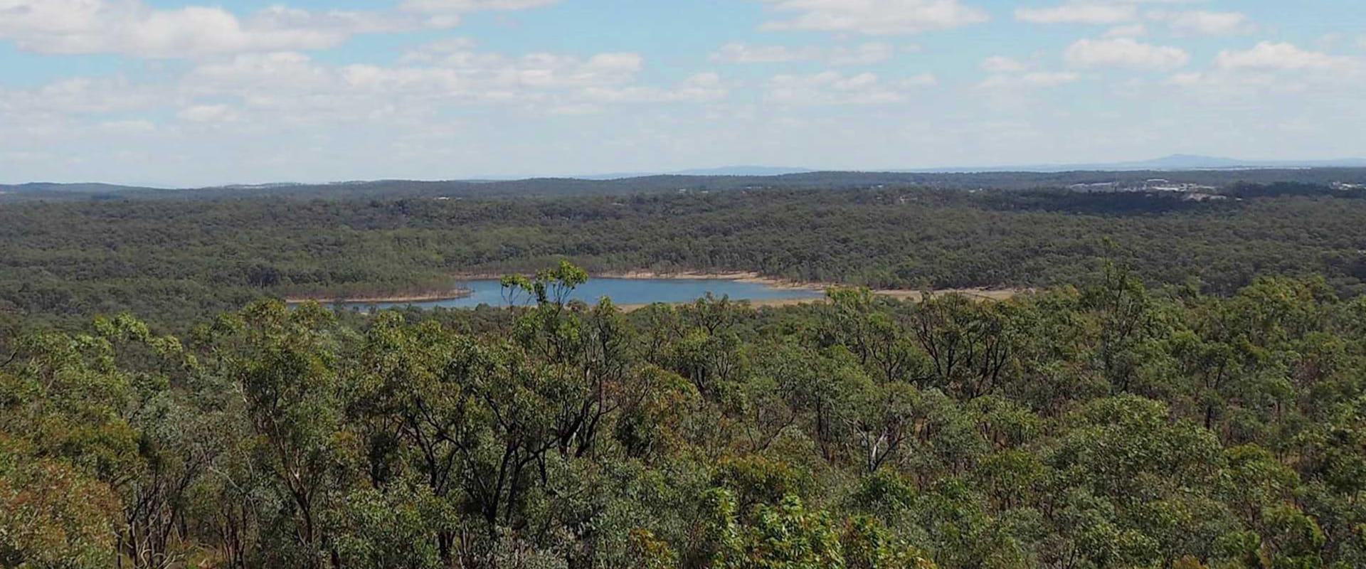 The spectacular view from One Tree Hill at Greater Bendigo National Park