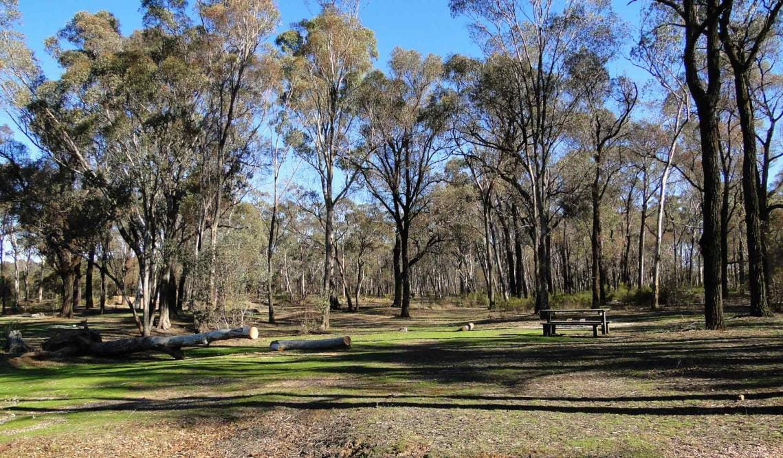 Notley Picnic Ground in the Greater Bendigo National Park