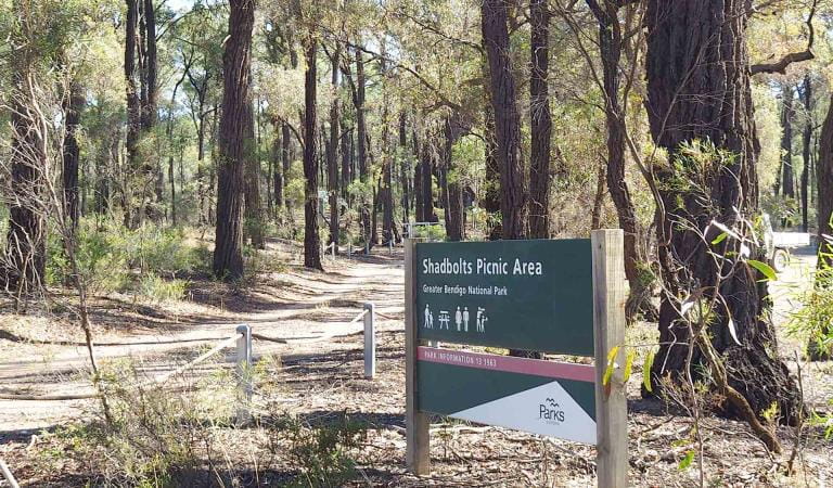 Shadbolts Picnic Area at Greater Bendigo National Park