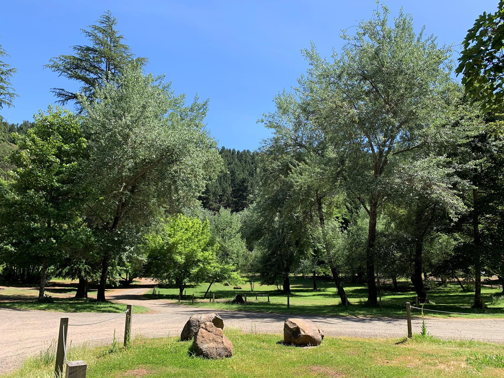 Stretches of grass with some big rocks next to a road and trees in the background.