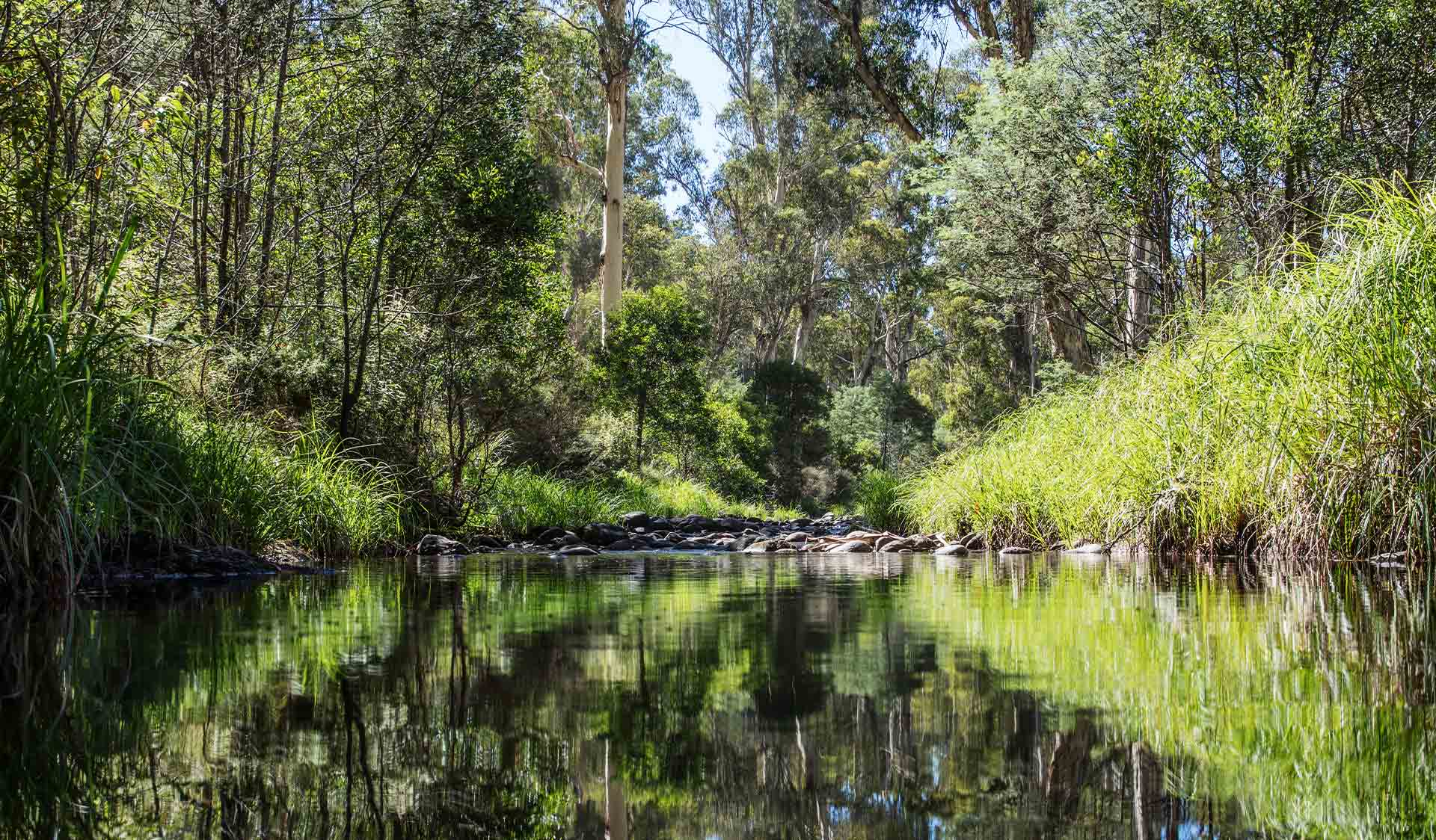 The landscape reflected in the Howqua River in the Howqua Hills Heritage Area. 
