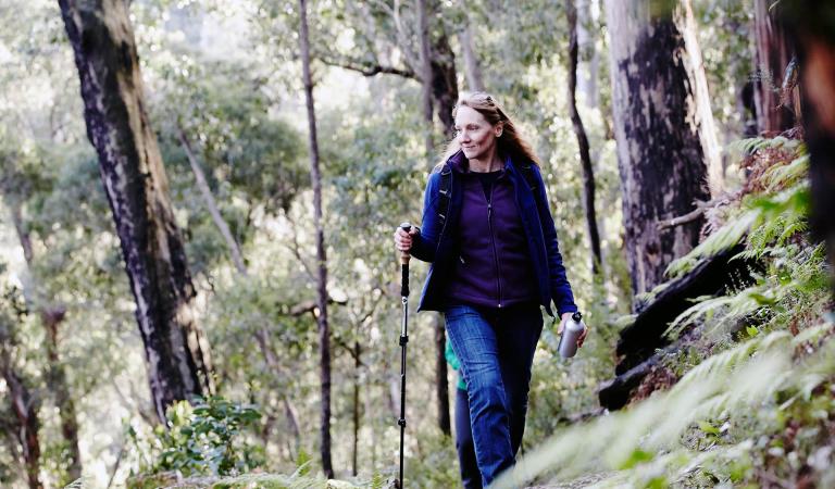 A women walks through Kinglake National Park.