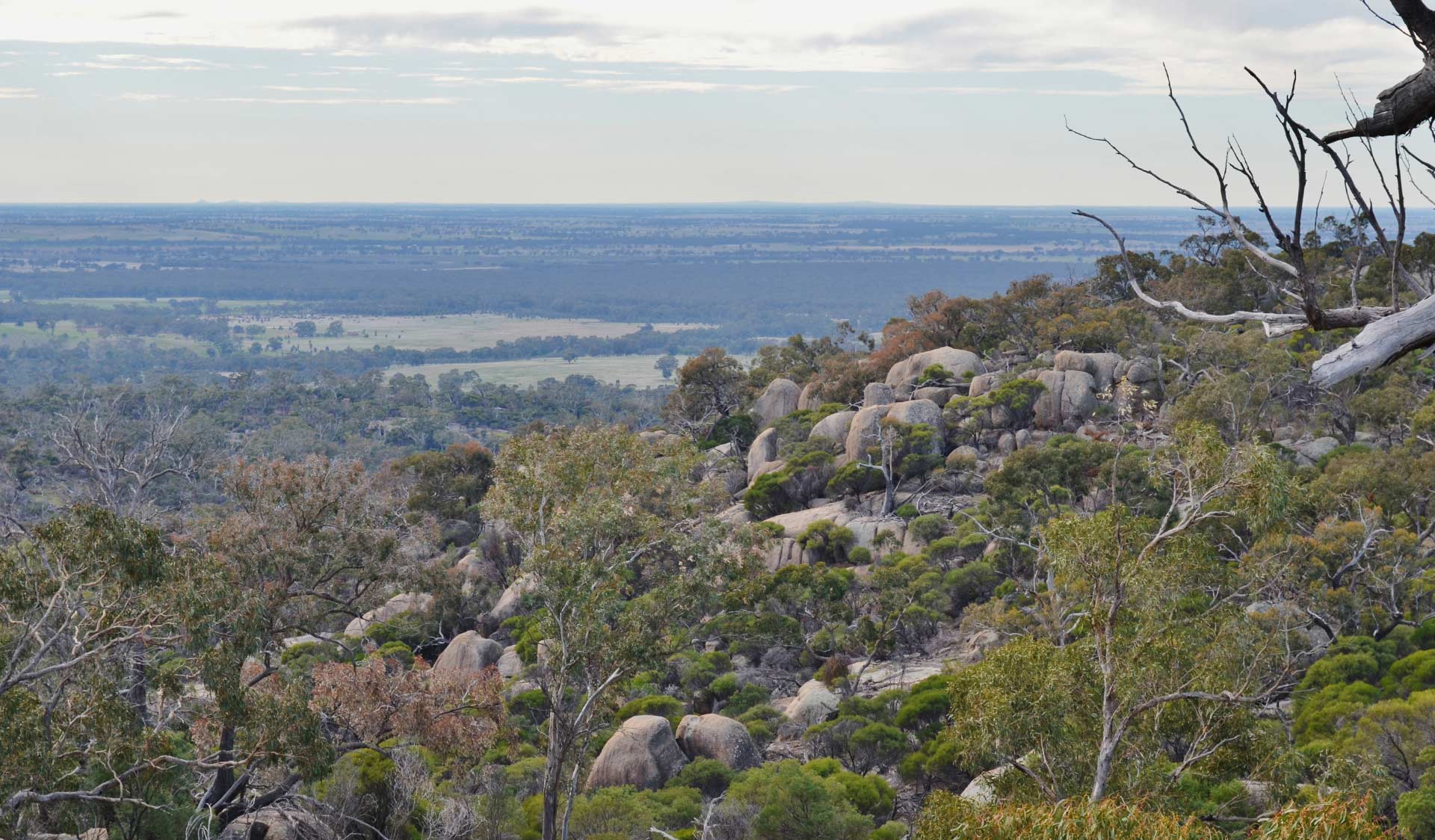 Granite boulders line the side of the hill at Kooyoora State Park