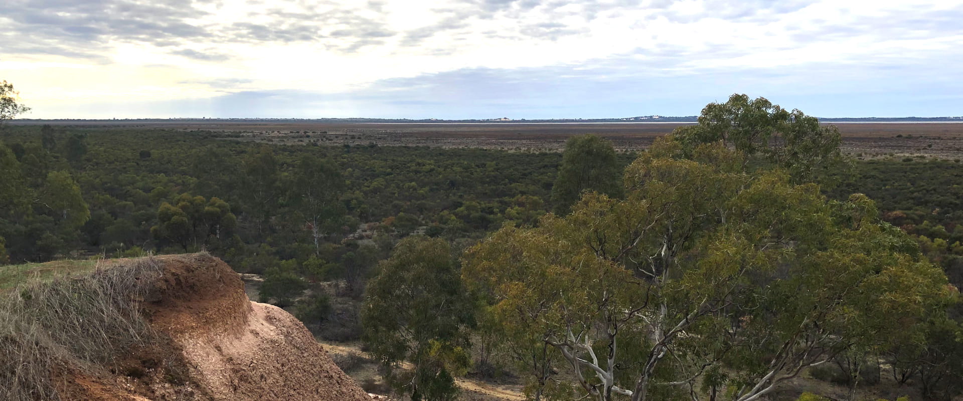 A vast view that overlooks a dry lake bed and small green foliage