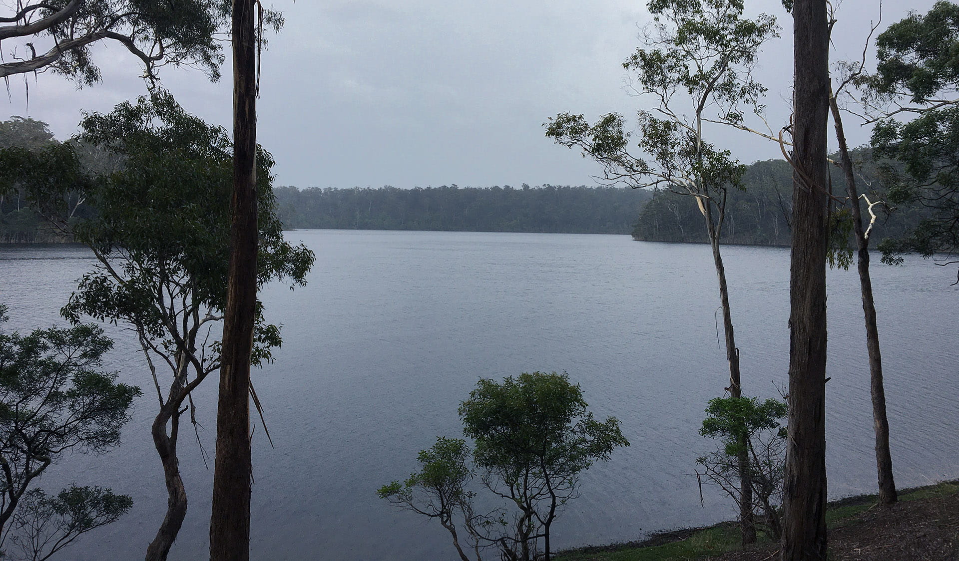 Lake Tyers at Lake Tyers State Park
