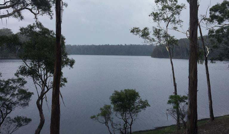 Lake Tyers at Lake Tyers State Park