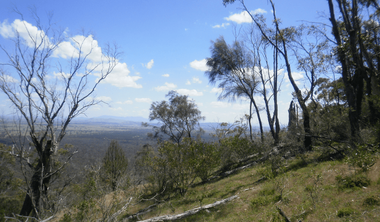 View from the Link Walking Track in Langi Ghiran State Park