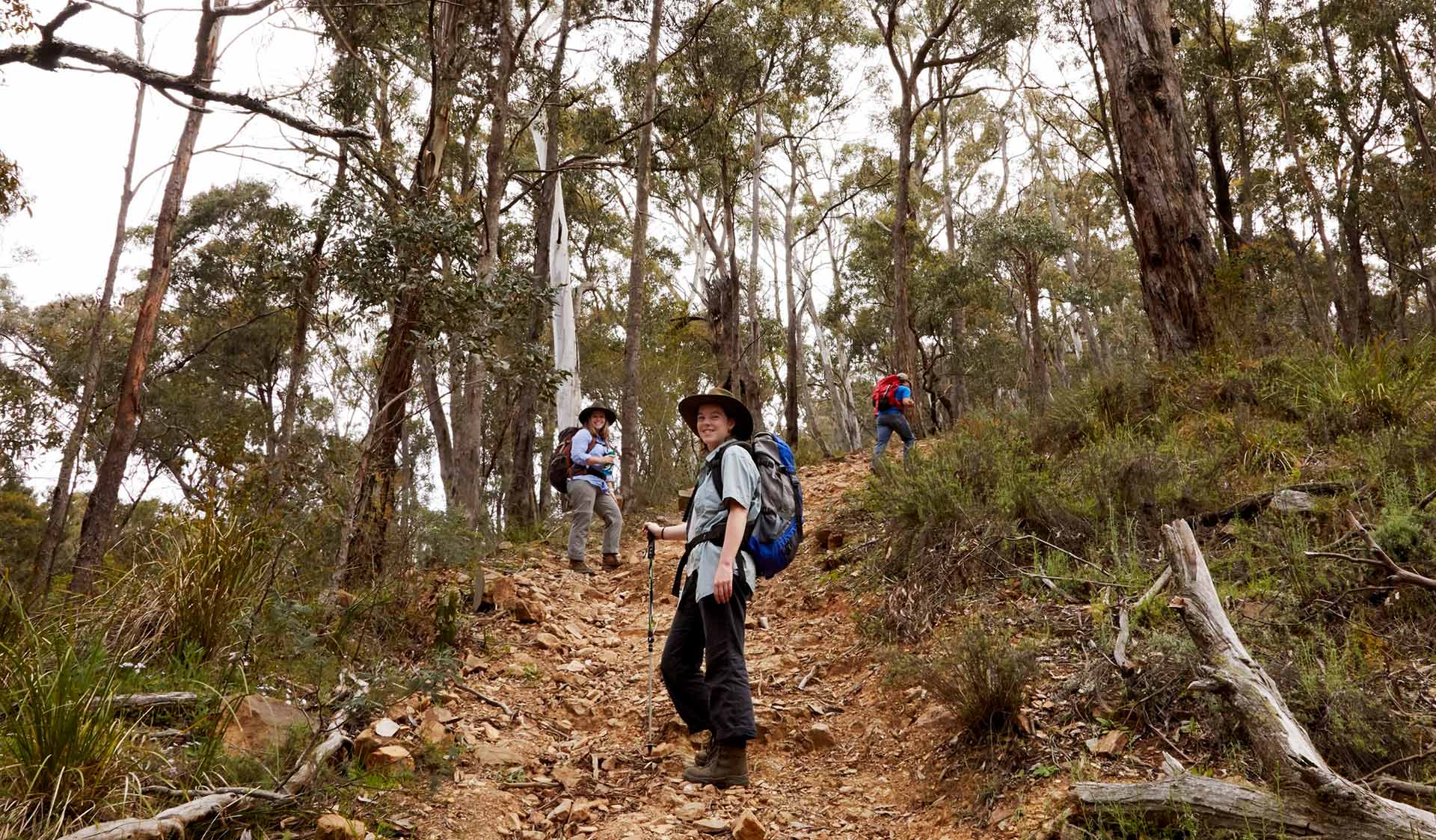Three friends walk up the track from O'Briens crossing. 