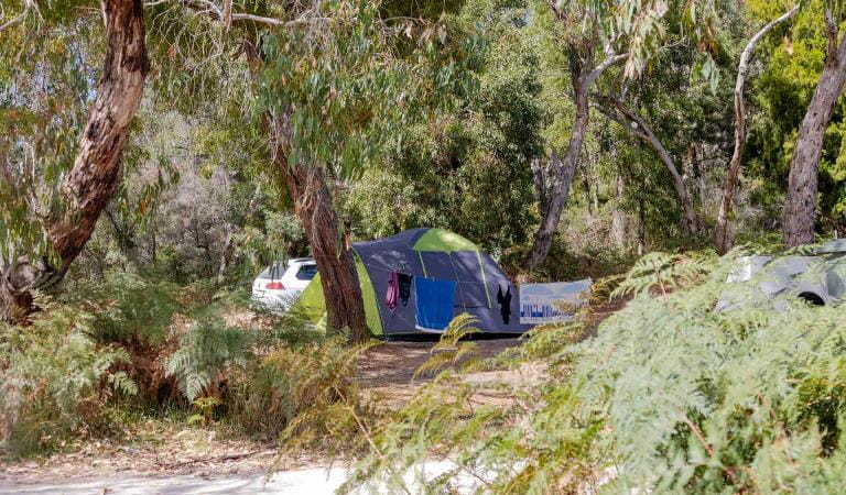 Clothes strung up on a line in front of a green tent at Battersbys Campground at Lower Glenelg National Park
