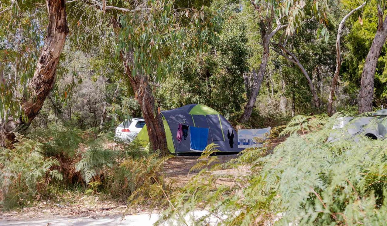 Clothes strung up on a line in front of a green tent at Battersbys Campground at Lower Glenelg National Park