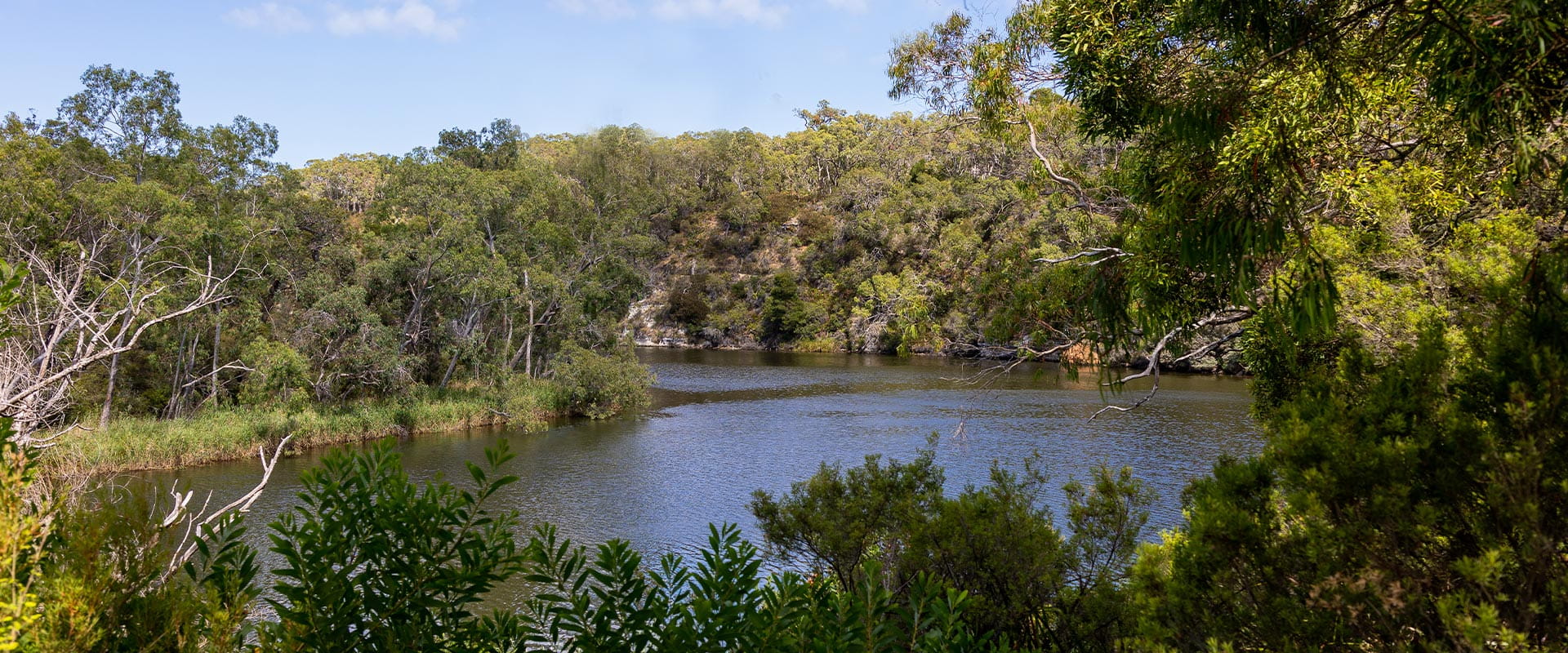 The view of the Glenelg river from Forest North Campground