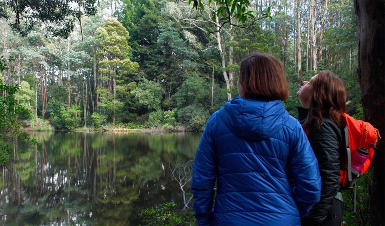 Two women looking at the trees and reflections at Sanatorium Lake.