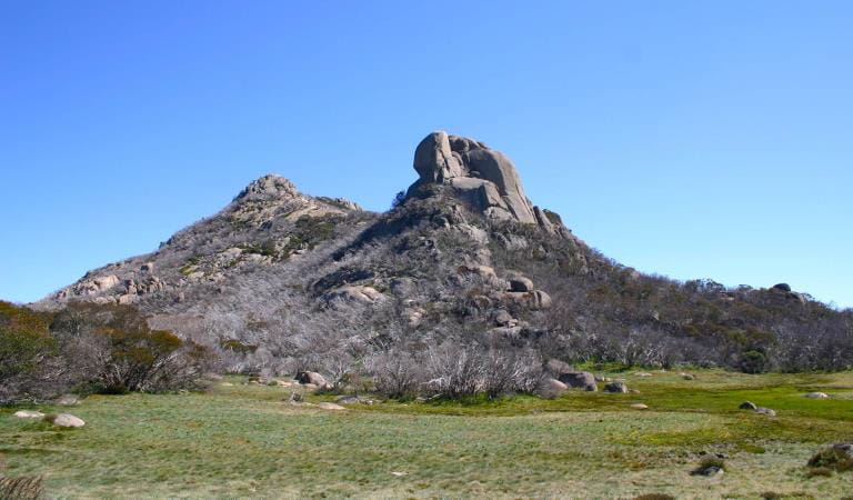 The walking track that leads to remote hiking areas at Mount Buffalo.