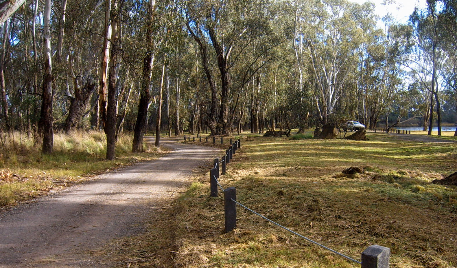 A sealed track curves around tall trees with a body of water in the distance
