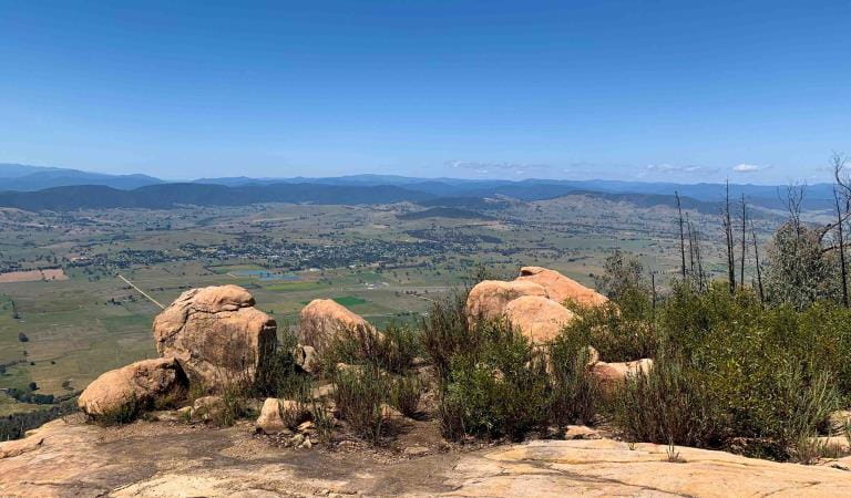 An expansive view over the Murray River