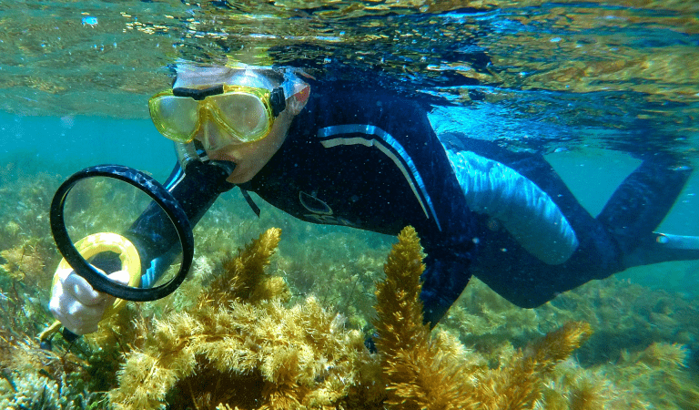 A snorkeller inspects a reef with a magnifying glass at Mushroom Reef Marine Sanctuary.