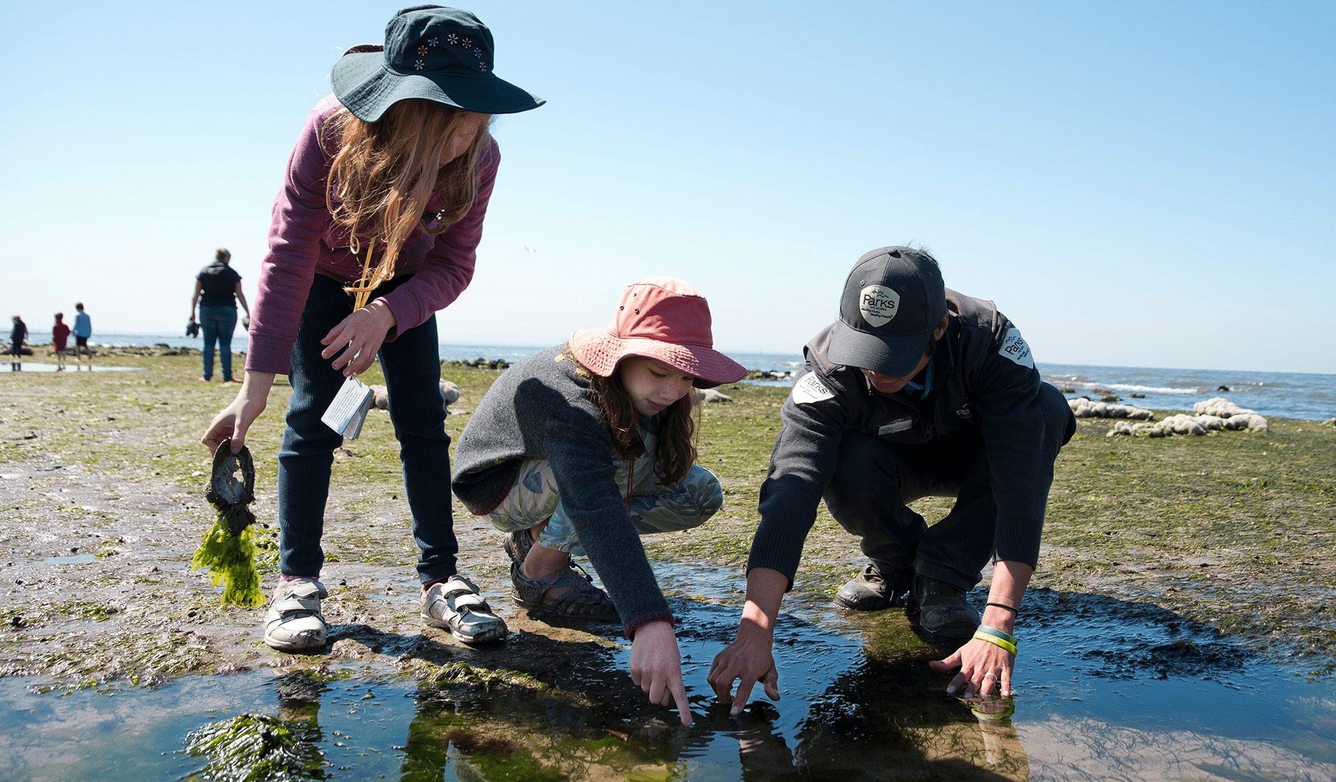 A Parks Victoria ranger shows two female children a rockpool in Point Cooke Marine Sanctuary