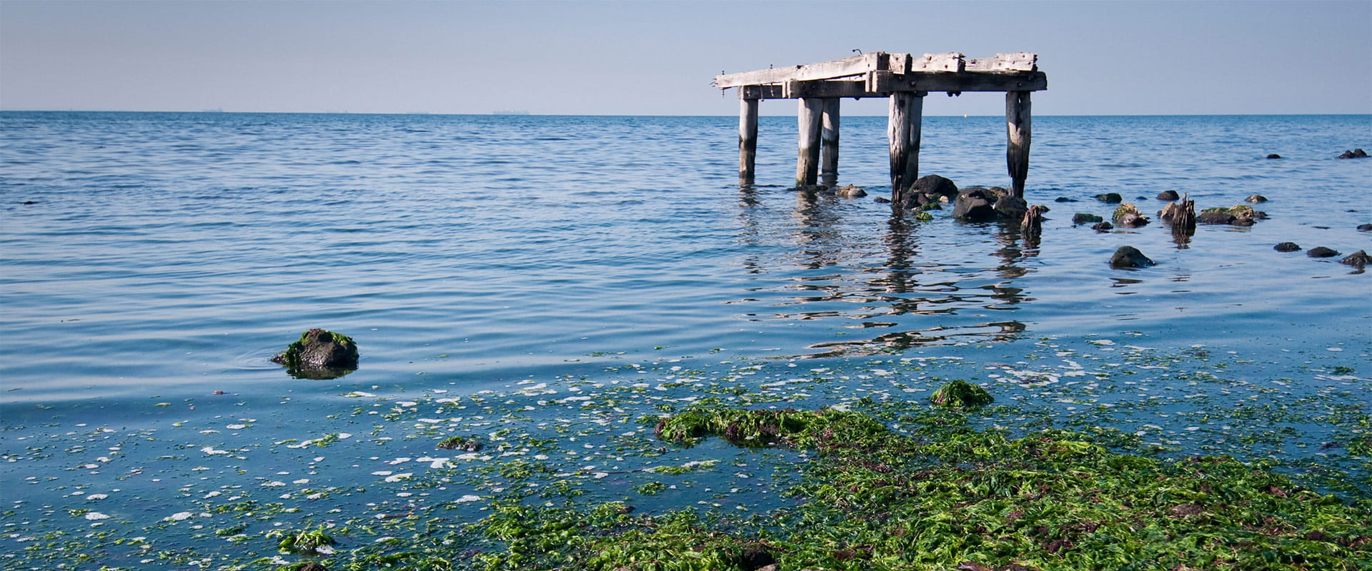 Remnants of an old pier in the water surrounded by rocks with seaweed in the foreground.