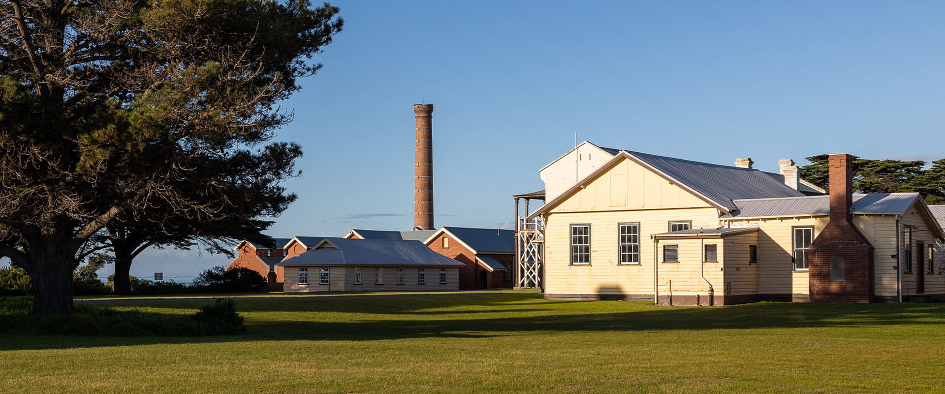 A grassy lawn in front of historic weatherboard and brick buildings next to a large pine tree.