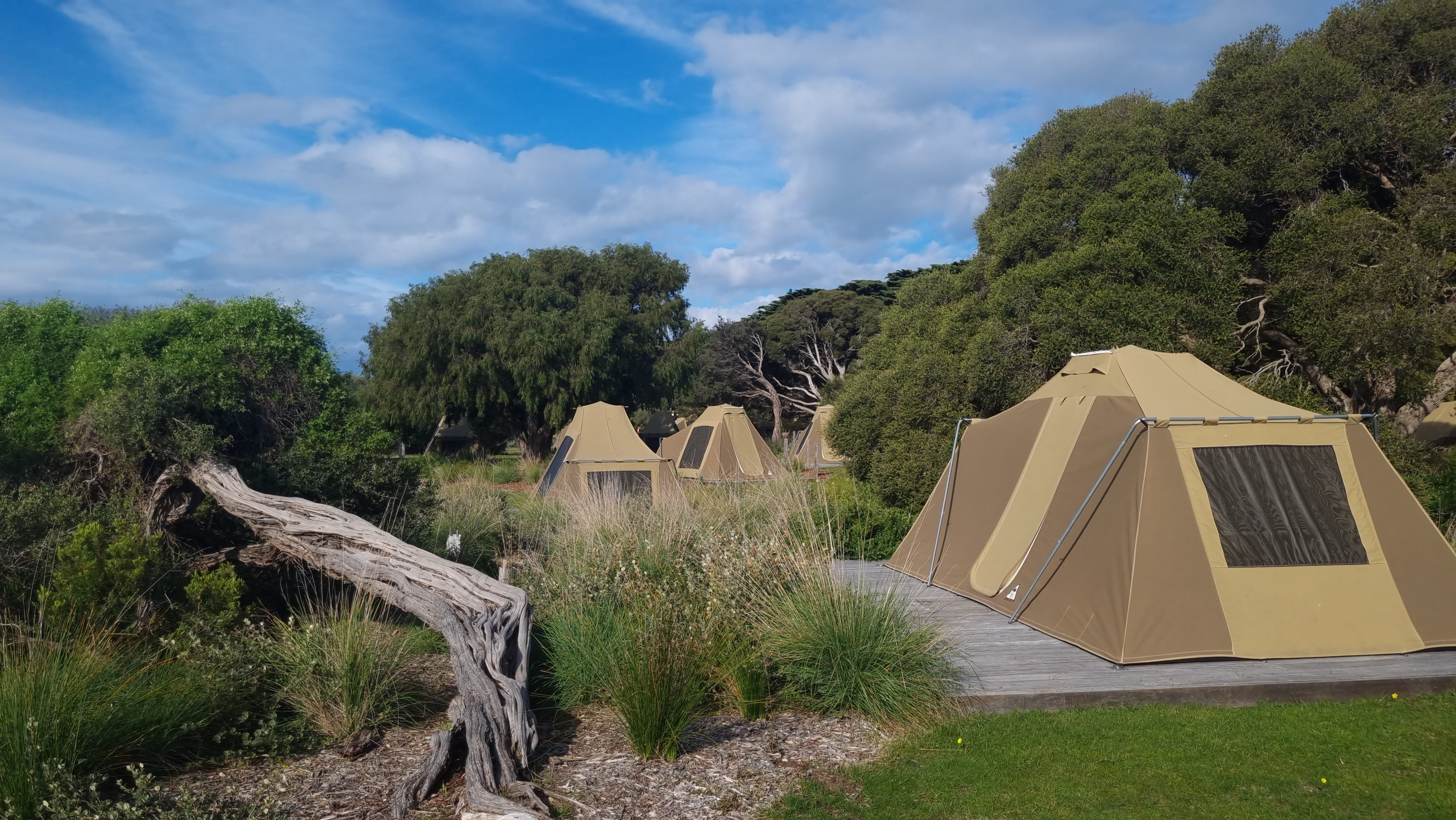 A group of Discovery Tents at Point Nepean surrounded by grass and trees on a sunny day. 