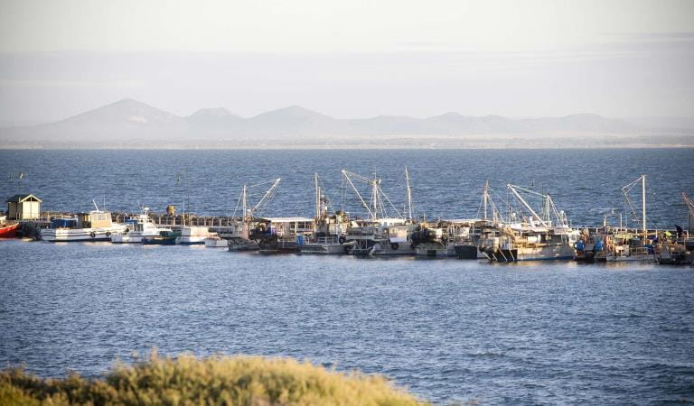 Fishing boats at Portarlington.