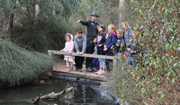 A ranger and a group of primary school children lookout at the wetlands enclosure at Serendip Sanctuary.