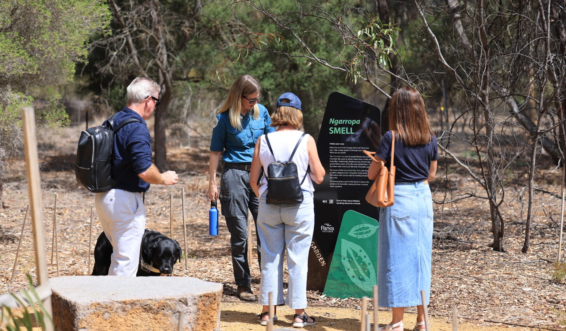 Photo of a Parks Victoria Ranger, a man with a guide dog and two women looking at an interpretation sign in the ‘Smell’ space. The interpretation sign has a black colour with white text and at the bottom you can see the leaves of a Narrow-leaved Peppermint. The heading of the sign states ‘Ngarropa Smell’ . There is a basalt seat in the foreground of the image.