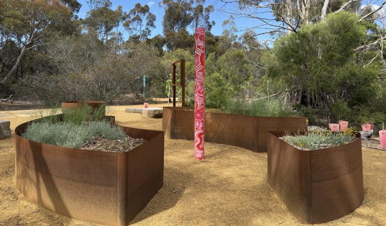 Photo of the ‘See’ space in the Sensory Garden. You can see three rusted steel planter boxes that are filled with native plants. The native plants have different textures and colours. In the middle of the space you can see a tall pole with a pink and red artwork. The artwork includes lines and symbols and was made by Wadawurrung artist Jenna Oldaker. At the back of the space is a rusted steel window frame that you can peer through and admire a tall Manna Gum behind it.
