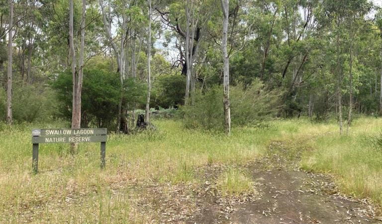 A dirt walking track leads into a forested area. On the left hand side a wooden sign that reads: 'Swallow Lagoon Nature Conservation Reserve'.