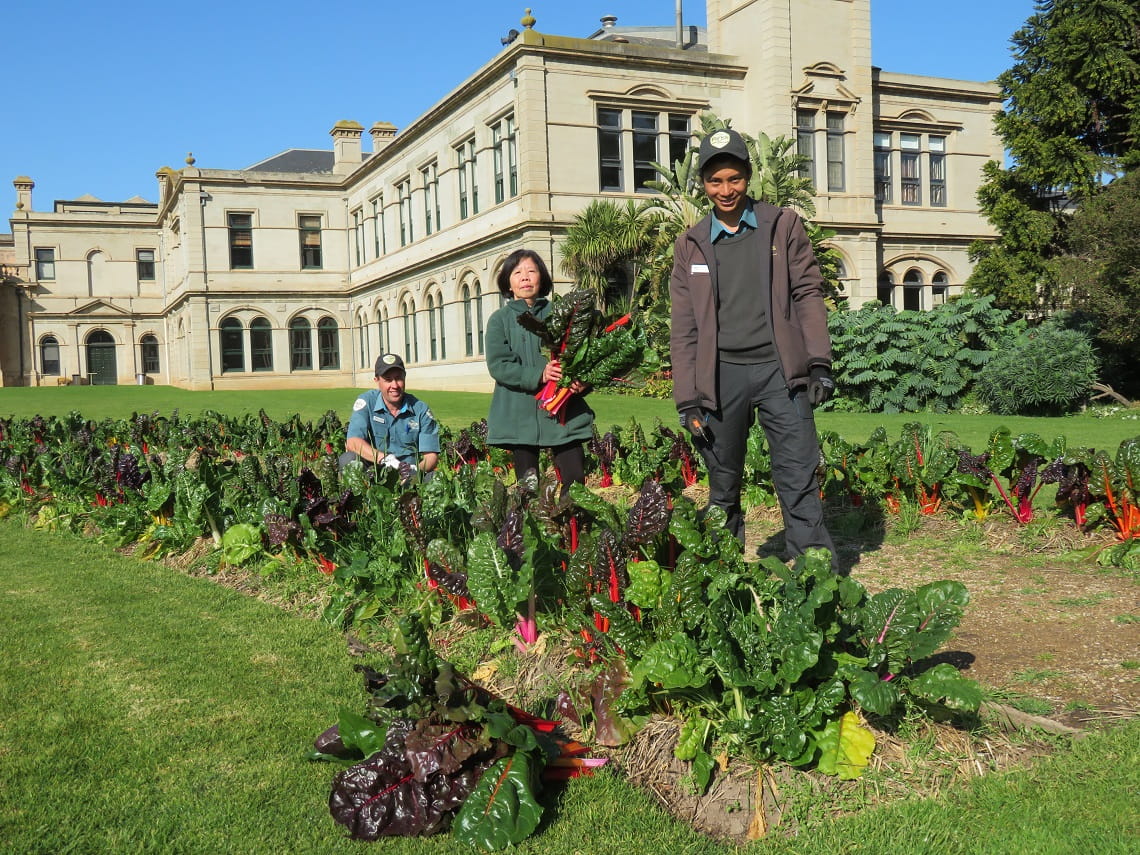 Parks Victoria Rangers transformed the historic mansion’s parterre from floral display to edible crop with the help of community volunteers.