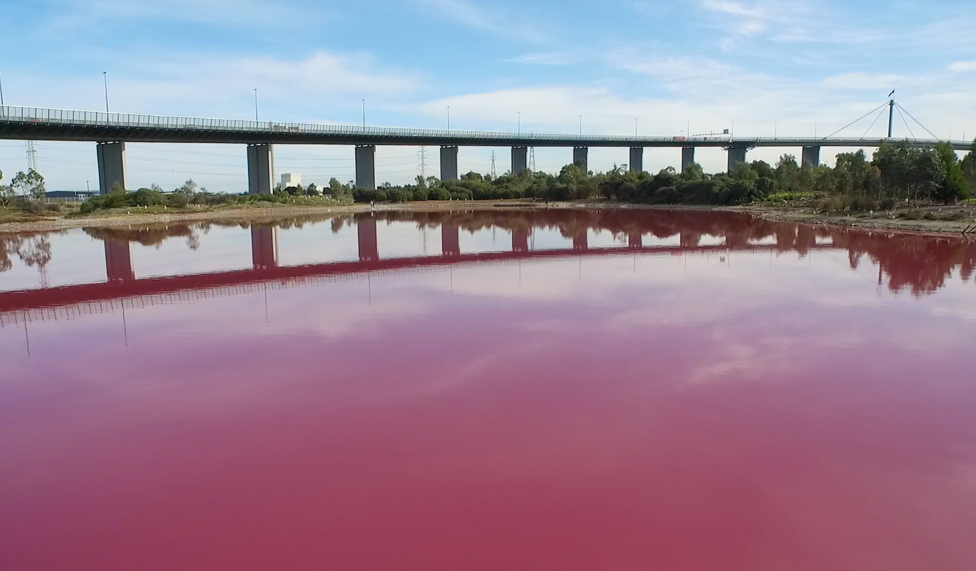 The pink lake at Westgate Park