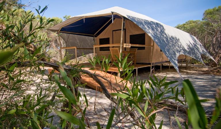 Glamping tent with white shelter with green plants in foreground.