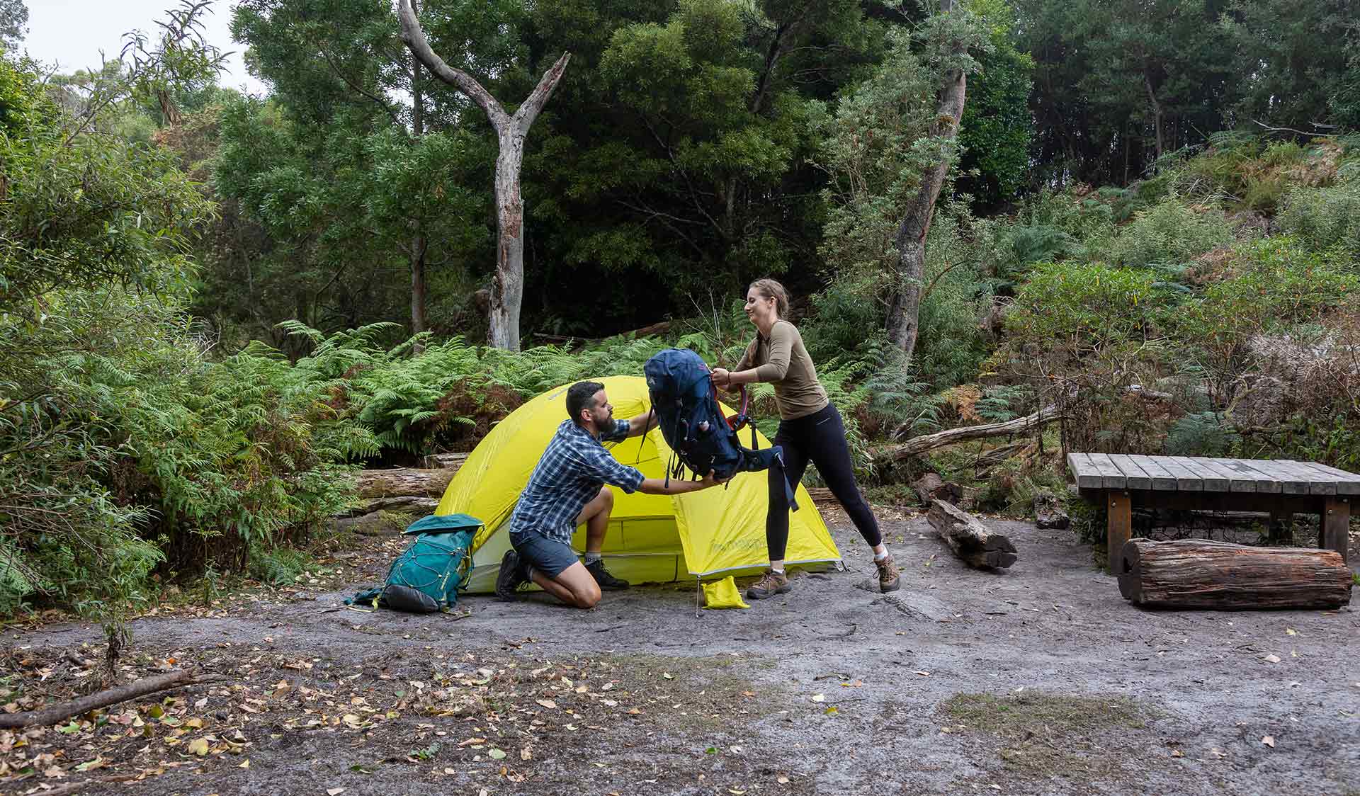 A man walks set up a yellow tent at Little Waterloo Bay on the Southern Circuit hiking trail at Wilsons Promontory National Park