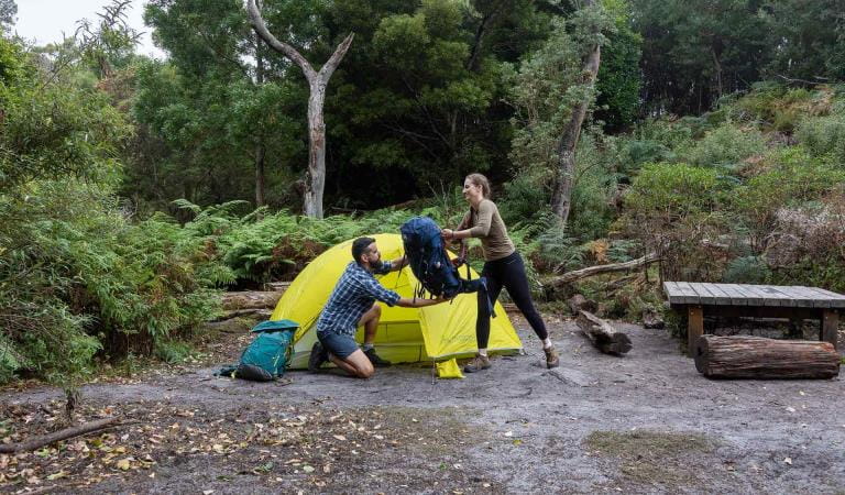 A man walks set up a yellow tent at Little Waterloo Bay on the Southern Circuit hiking trail at Wilsons Promontory National Park