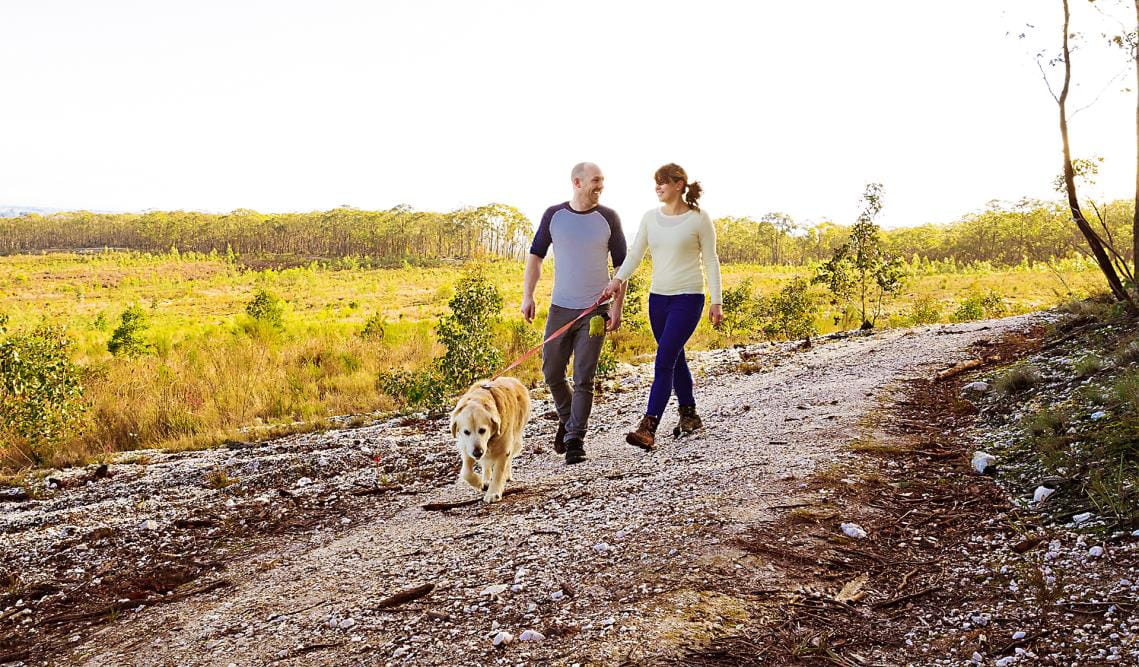 A couple walking their dog on lead along a track.