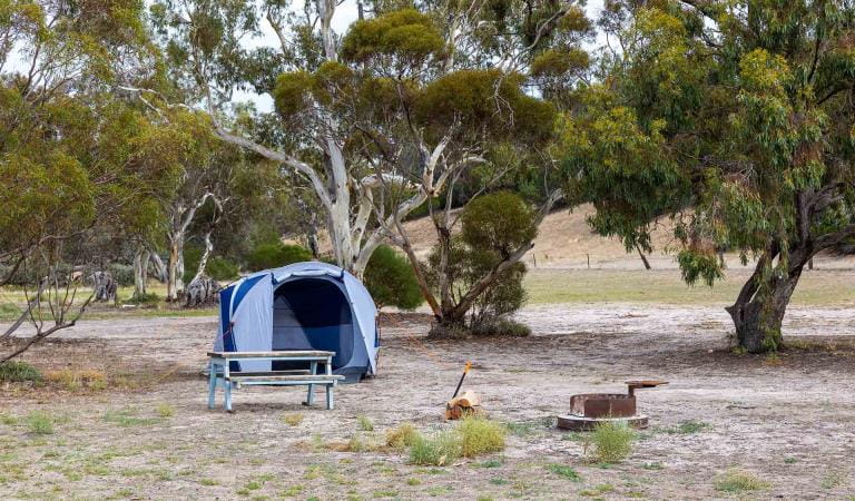 A tent, fireplace and picnic table at Wonga Camground at Wyperfeld National Park