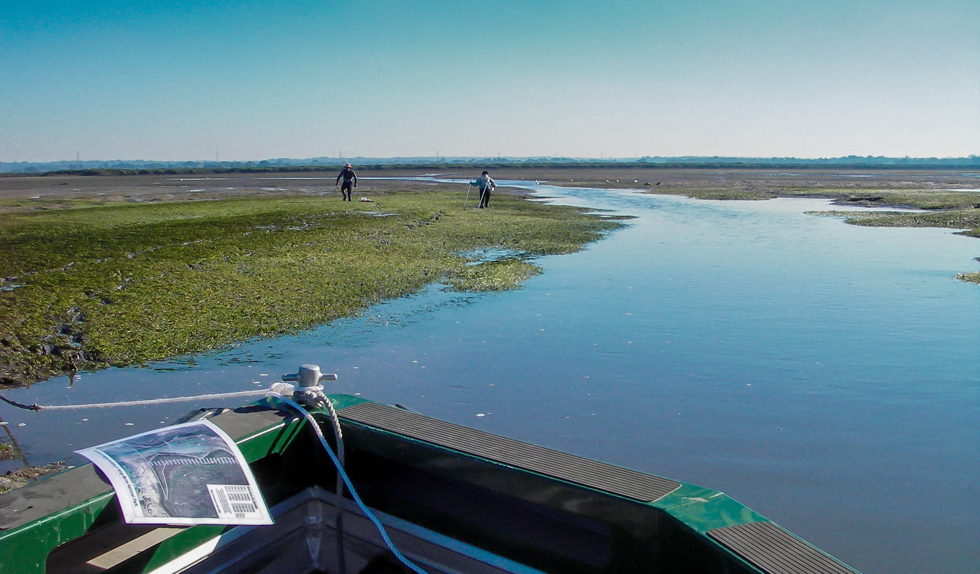 The tip of a boat on blue water. Some land covered in algae revealed in low tide. 