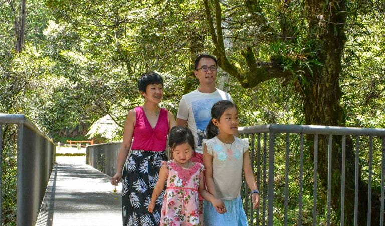 A family walk along the Rainforest Gallery near Mt Donna Buang.