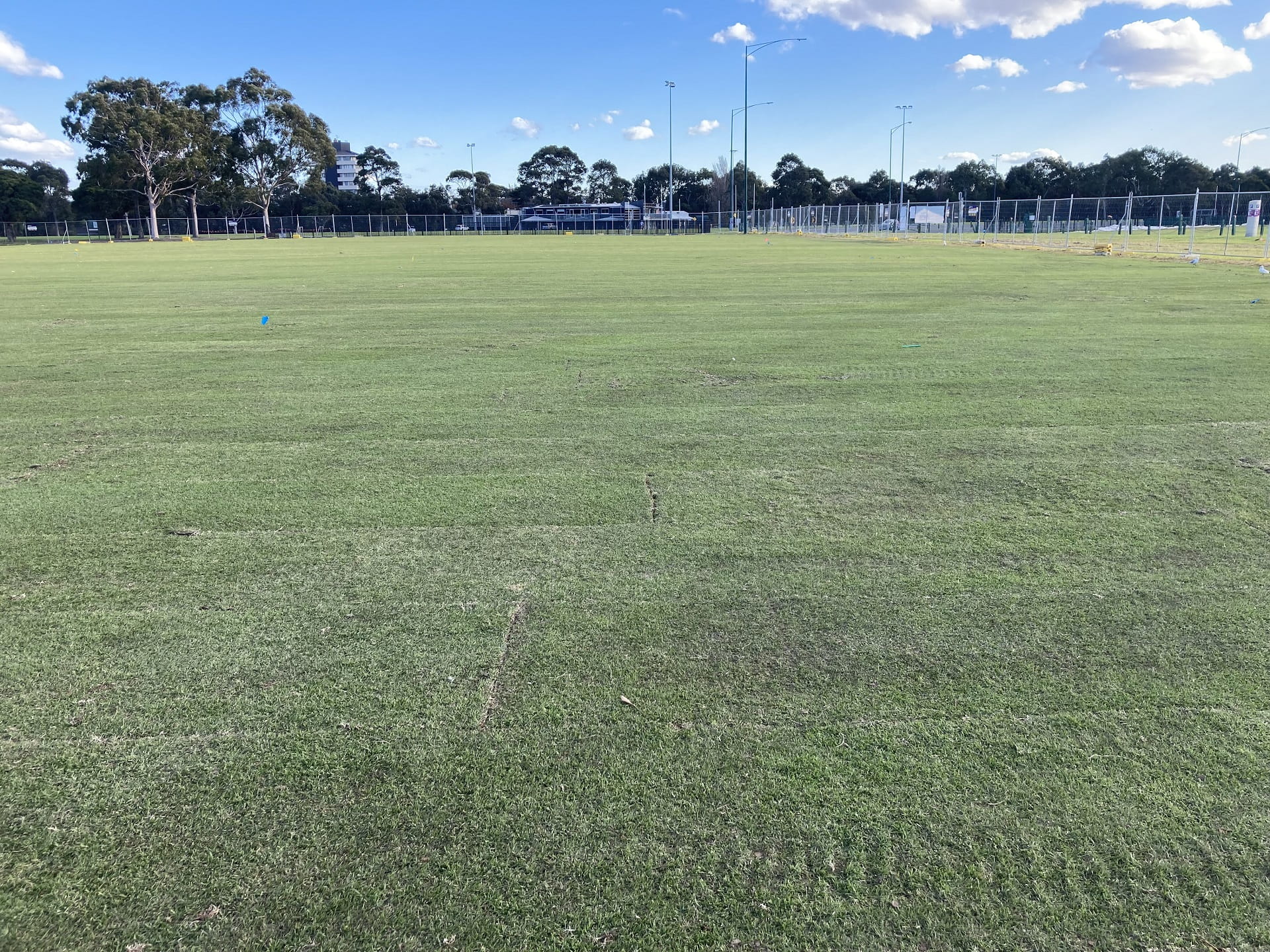 New turf laid across Field 10 at Albert Park