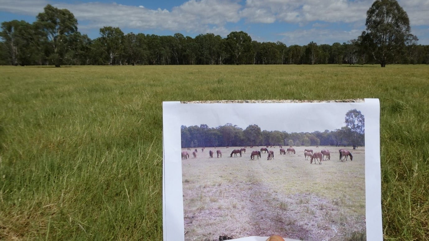 Steamer Plain in Barmah National Park 2024