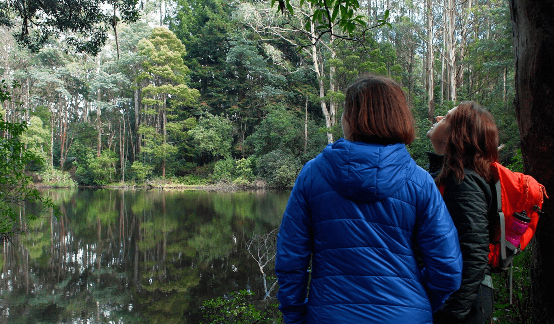 Sanatorium Eco Trail at Macedon Regional Park