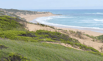 View of the beach at Belfast Coastal Reserve